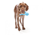 West Paw Tizzi With Zogoflex Dog Toy
