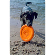 West Paw Zisc With Zogoflex Flying Disc For Dogs