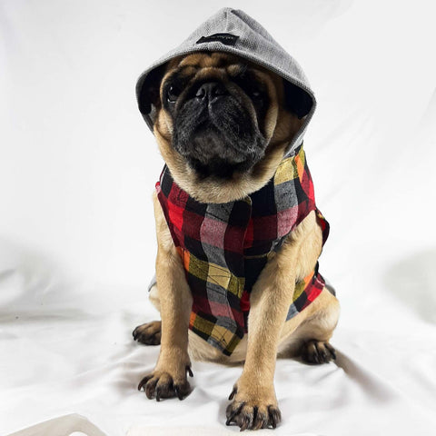 Red Check Hoodie T-Shirts For Dogs