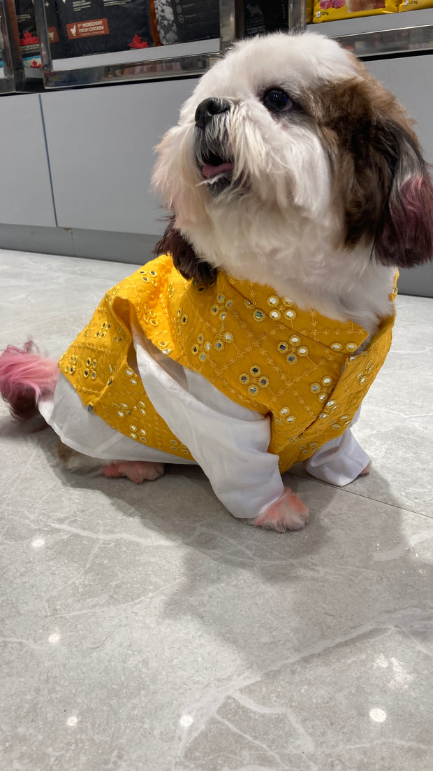Mirror Work Yellow Koti and Kurta Dress For Dogs