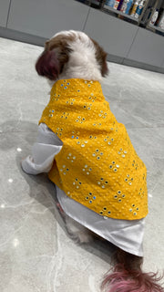 Mirror Work Yellow Koti and Kurta Dress For Dogs