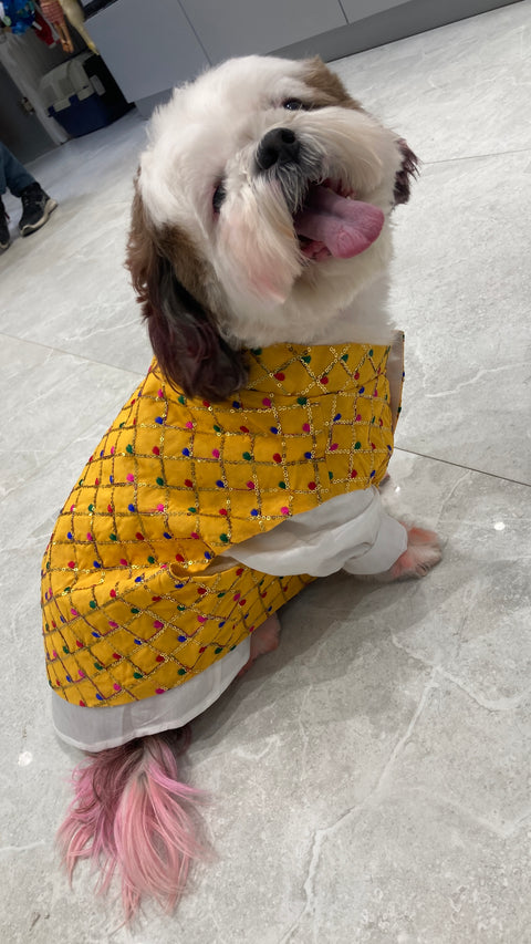 Designer Yellow Koti and Kurta Dress For Dogs