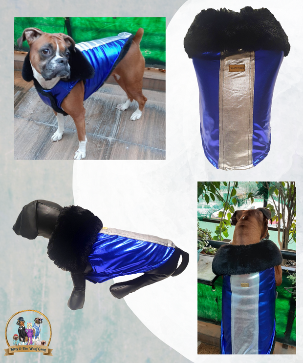 Blue Silver Premium Jacket For Dogs