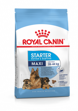 Royal Canine Maxi Starter
