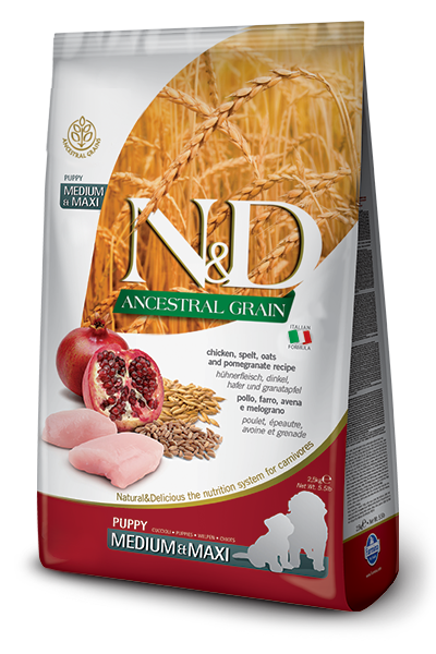 N&D Ancestral Grain, Chi & Pomegranate Puppy Med & Maxi Dog Food