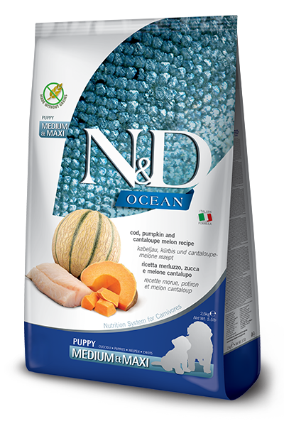 N&D Ocean GF Cod, Pumpkin & Cantaloupe Melon Puppy Med & Maxi Dog Food
