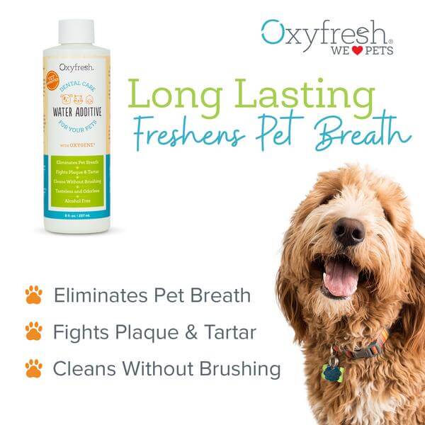 Dental Water Additive For Pet
