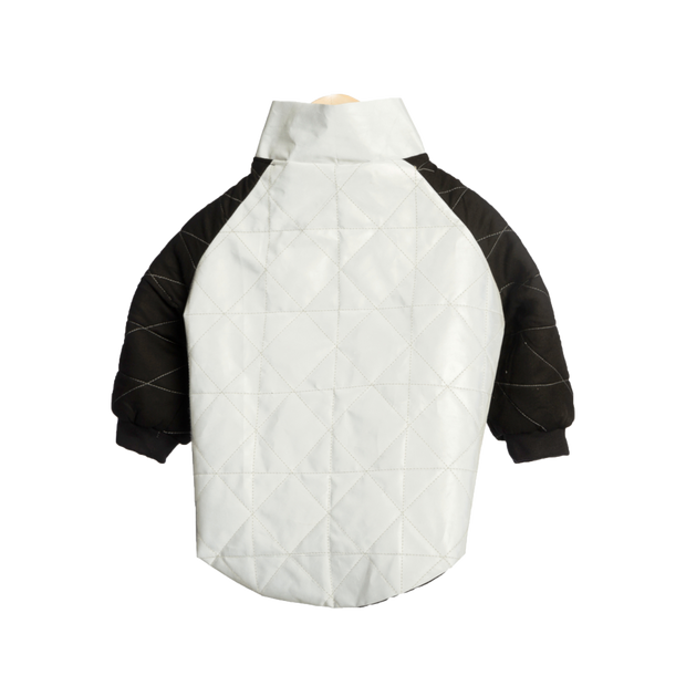 Reflective Bomber Jacket For Dogs